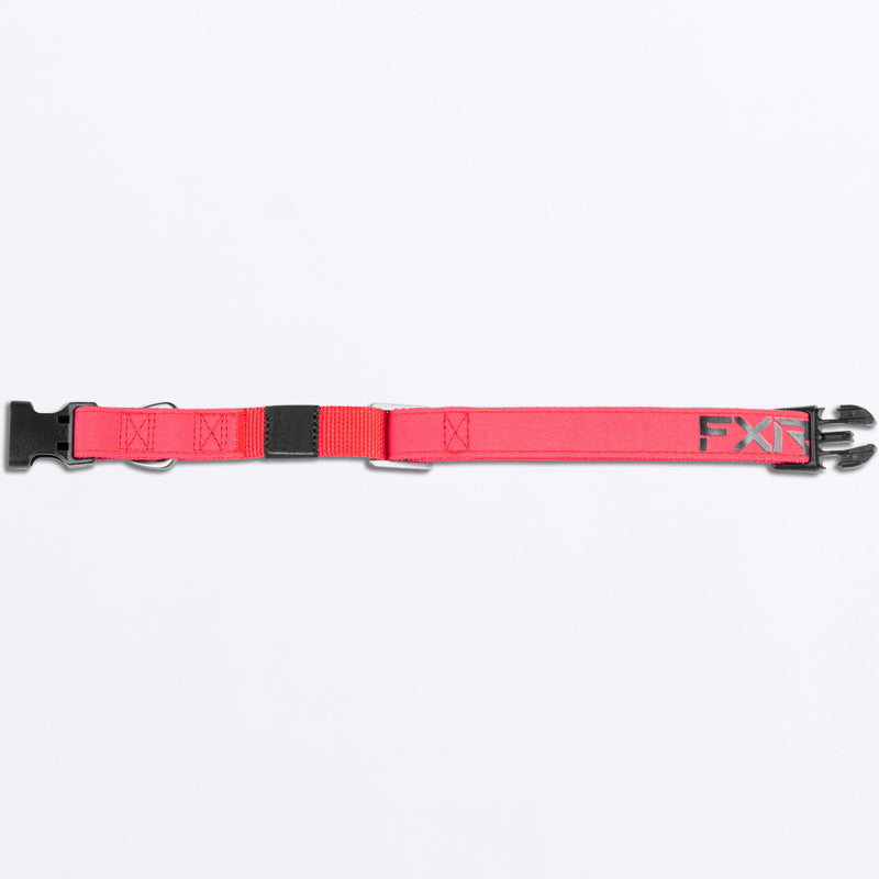 Dog_Collar_RazzBlack_243600-_2810_Detail2